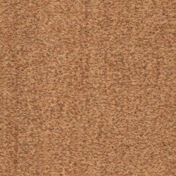mtex_19402, Carpet, Polyamid, Architektur, CAD, Textur, Tiles, kostenlos, free, Carpet, Tisca Tischhauser AG