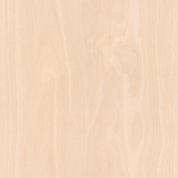 mtex_20278, Wood, Veneer, Architektur, CAD, Textur, Tiles, kostenlos, free, Wood, Atlas Holz AG