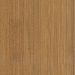 mtex_20246, Wood, Veneer, Architektur, CAD, Textur, Tiles, kostenlos, free, Wood, Atlas Holz AG