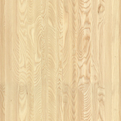 mtex_19436, Hout, 1-laags hout, Architektur, CAD, Textur, Tiles, kostenlos, free, Wood, Atlas Holz AG