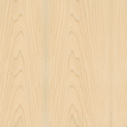 mtex_20247, Wood, Veneer, Architektur, CAD, Textur, Tiles, kostenlos, free, Wood, Atlas Holz AG