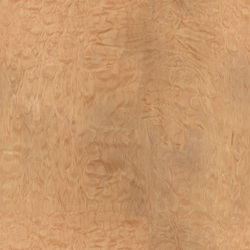 mtex_20248, Wood, Veneer, Architektur, CAD, Textur, Tiles, kostenlos, free, Wood, Atlas Holz AG