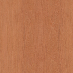 mtex_20244, Wood, Veneer, Architektur, CAD, Textur, Tiles, kostenlos, free, Wood, Atlas Holz AG