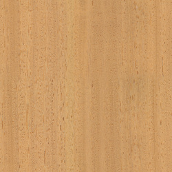 mtex_20266, Wood, Veneer, Architektur, CAD, Textur, Tiles, kostenlos, free, Wood, Atlas Holz AG