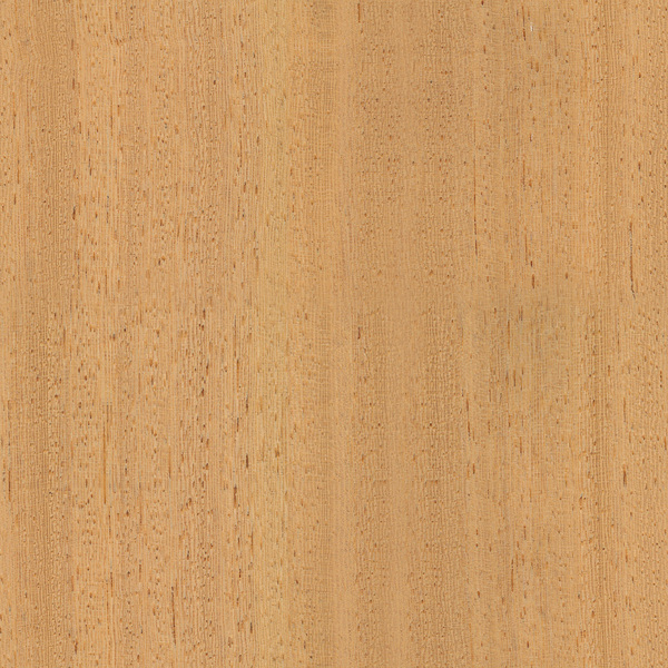 mtex_20266, Holz, Furnier, Architektur, CAD, Textur, Tiles, kostenlos, free, Wood, Atlas Holz AG