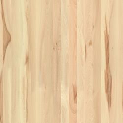 mtex_19421, Wood, 1-layer Panels, Architektur, CAD, Textur, Tiles, kostenlos, free, Wood, Atlas Holz AG