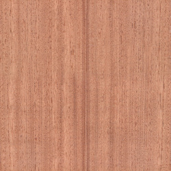 mtex_20284, Wood, Veneer, Architektur, CAD, Textur, Tiles, kostenlos, free, Wood, Atlas Holz AG
