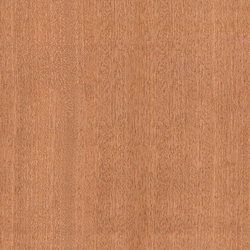 mtex_20384, Wood, Veneer, Architektur, CAD, Textur, Tiles, kostenlos, free, Wood, Atlas Holz AG