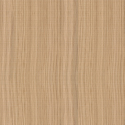 mtex_20342, Wood, Veneer, Architektur, CAD, Textur, Tiles, kostenlos, free, Wood, Atlas Holz AG
