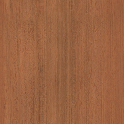 mtex_20371, Wood, Veneer, Architektur, CAD, Textur, Tiles, kostenlos, free, Wood, Atlas Holz AG