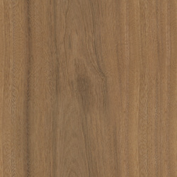 mtex_20324, Wood, Veneer, Architektur, CAD, Textur, Tiles, kostenlos, free, Wood, Atlas Holz AG