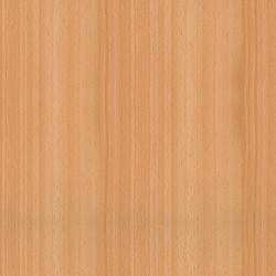 mtex_20322, Wood, Veneer, Architektur, CAD, Textur, Tiles, kostenlos, free, Wood, Atlas Holz AG