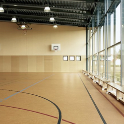 Sporthalle Auenbergschule, Forbo, Reinhard Dietz, Oderhausen, by mtextur