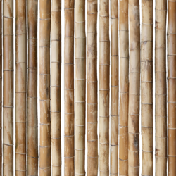 mtex_14804, Bambú, Bambú, Architektur, CAD, Textur, Tiles, kostenlos, free, Bamboo, xyz mtextur