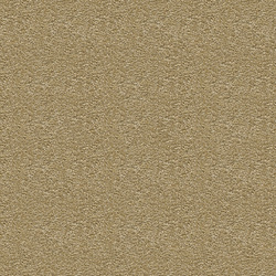 mtex_14989, Carpet, Velour, Architektur, CAD, Textur, Tiles, kostenlos, free, Carpet, Vorwerk