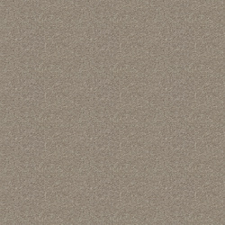 mtex_15184, Carpet, Mesh, Architektur, CAD, Textur, Tiles, kostenlos, free, Carpet, Vorwerk
