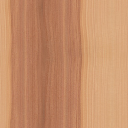 mtex_20269, Wood, Veneer, Architektur, CAD, Textur, Tiles, kostenlos, free, Wood, Atlas Holz AG
