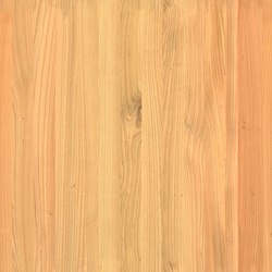 mtex_19424, Hout, 1-laags hout, Architektur, CAD, Textur, Tiles, kostenlos, free, Wood, Atlas Holz AG