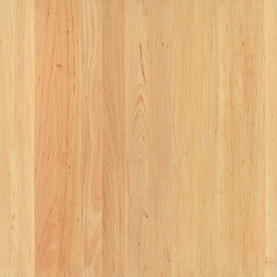 mtex_19428, Hout, 1-laags hout, Architektur, CAD, Textur, Tiles, kostenlos, free, Wood, Atlas Holz AG