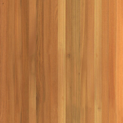 mtex_19429, Wood, 1-layer Panels, Architektur, CAD, Textur, Tiles, kostenlos, free, Wood, Atlas Holz AG