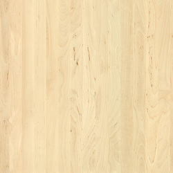 mtex_19430, Hout, 1-laags hout, Architektur, CAD, Textur, Tiles, kostenlos, free, Wood, Atlas Holz AG