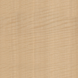 mtex_20263, Wood, Veneer, Architektur, CAD, Textur, Tiles, kostenlos, free, Wood, Atlas Holz AG