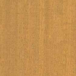 mtex_20265, Wood, Veneer, Architektur, CAD, Textur, Tiles, kostenlos, free, Wood, Atlas Holz AG