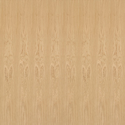 mtex_19493, Wood, Veneer, Architektur, CAD, Textur, Tiles, kostenlos, free, Wood, Atlas Holz AG