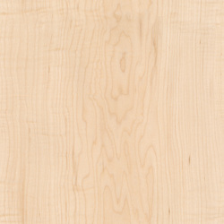 mtex_20249, Wood, Veneer, Architektur, CAD, Textur, Tiles, kostenlos, free, Wood, Atlas Holz AG
