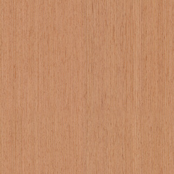 mtex_20242, Holz, Furnier, Architektur, CAD, Textur, Tiles, kostenlos, free, Wood, Atlas Holz AG
