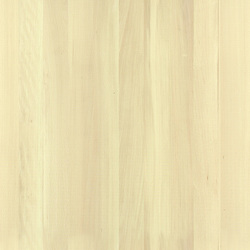 mtex_19434, Hout, 1-laags hout, Architektur, CAD, Textur, Tiles, kostenlos, free, Wood, Atlas Holz AG