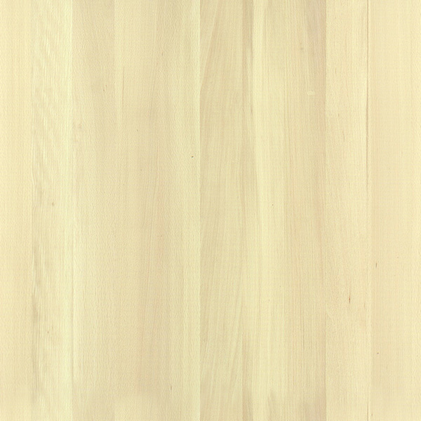 mtex_19434, Hout, 1-laags hout, Architektur, CAD, Textur, Tiles, kostenlos, free, Wood, Atlas Holz AG