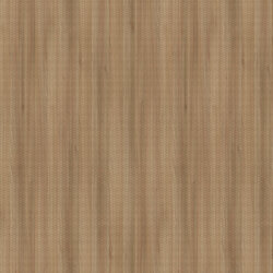 mtex_102171, Wood, Acustic-Panel, Architektur, CAD, Textur, Tiles, kostenlos, free, Wood, Topakustik