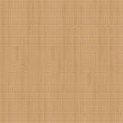 mtex_102320, Wood, Acustic-Panel, Architektur, CAD, Textur, Tiles, kostenlos, free, Wood, Topakustik