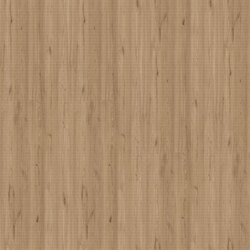mtex_102318, Wood, Acustic-Panel, Architektur, CAD, Textur, Tiles, kostenlos, free, Wood, Topakustik
