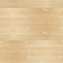 mtex_106788, Wood, 3-layer panel, Architektur, CAD, Textur, Tiles, kostenlos, free, Wood, ALFA Laubholzplatten