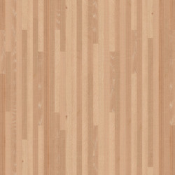 mtex_106967, Wood, 1-layer Panels, Architektur, CAD, Textur, Tiles, kostenlos, free, Wood, Fagus Suisse SA